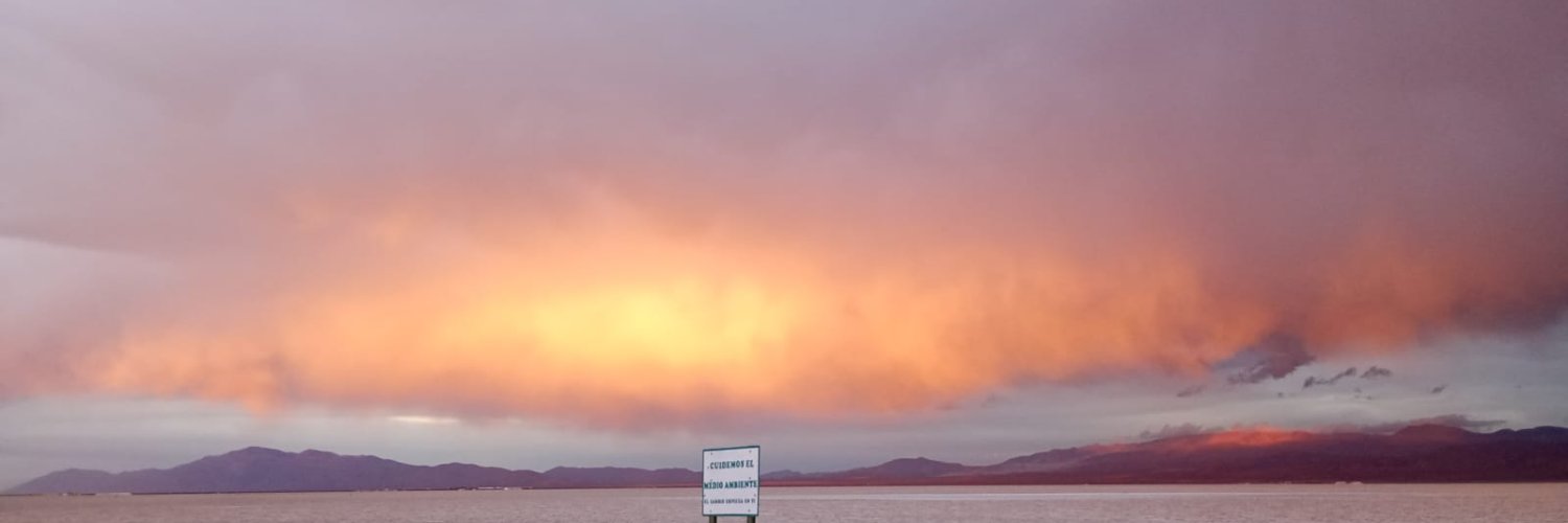 🌼 Flowerfog ✨🌙 banner