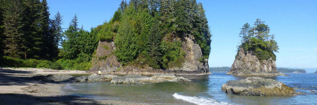 Wallace 🇨🇦 banner