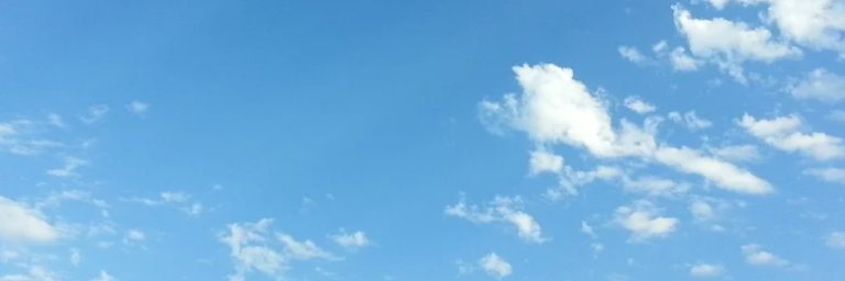 Melissa Pirrie banner