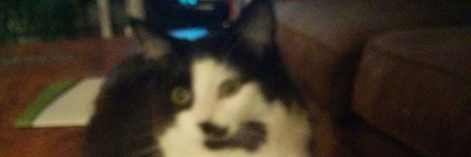 marecl63's profile banner image