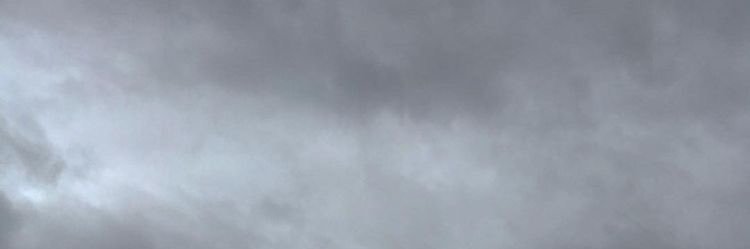 paranoiade's profile banner image