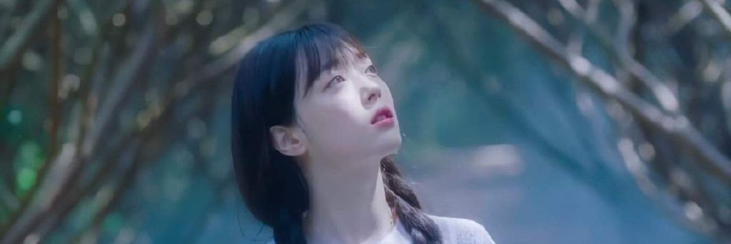SaHuongLy's profile banner image