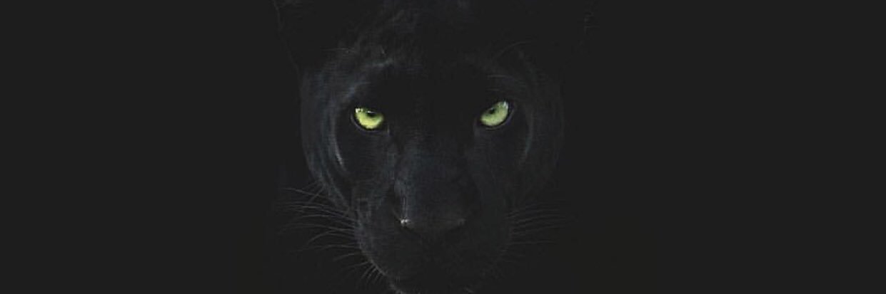 Trexon52's profile banner image