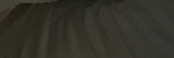 DL banner