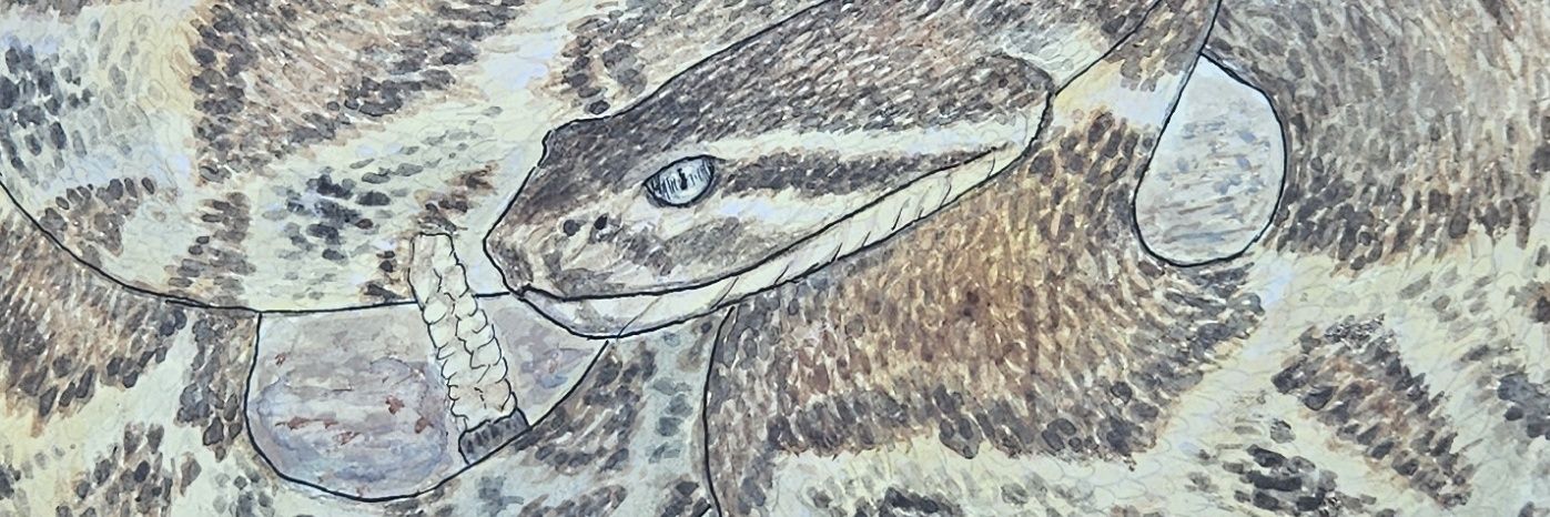 🌿Chris Thomas🪴 🏳️‍🌈 banner