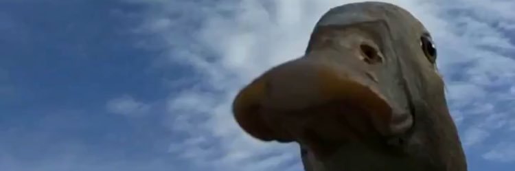 mayalaugh's profile banner image