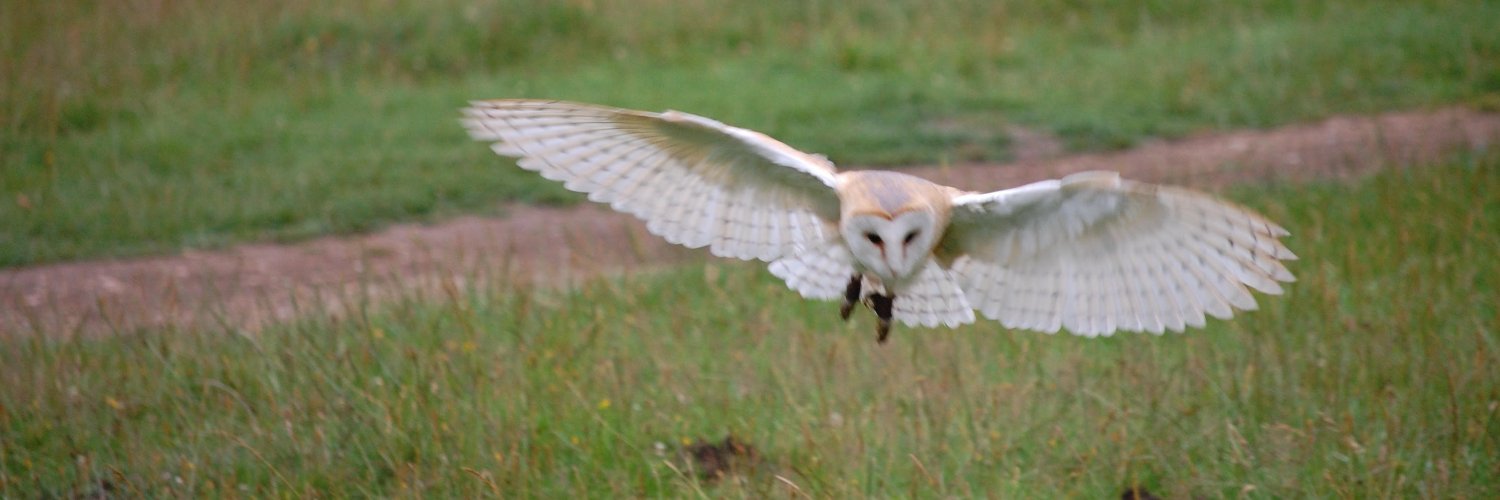 Nethergillassoc banner