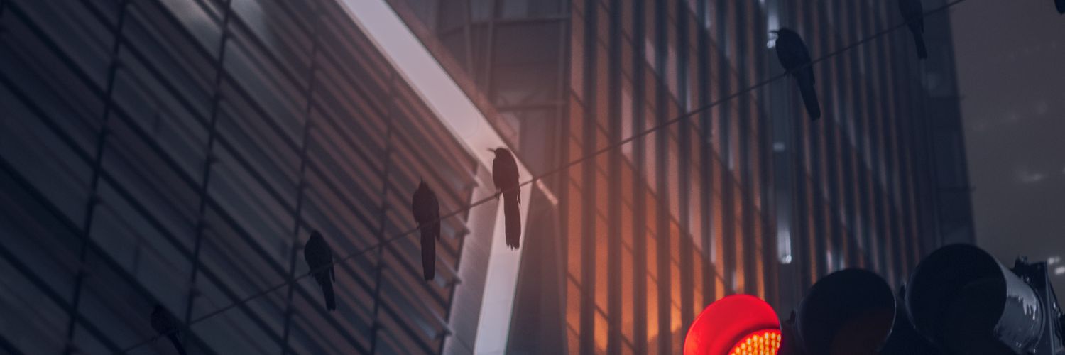 ChrisJLN's profile banner image