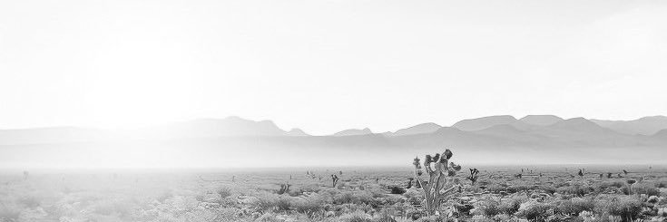 أسماء || 🕊️ banner