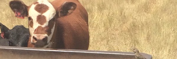 Judge19872 Profile Banner