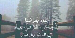RS32937673's profile banner image