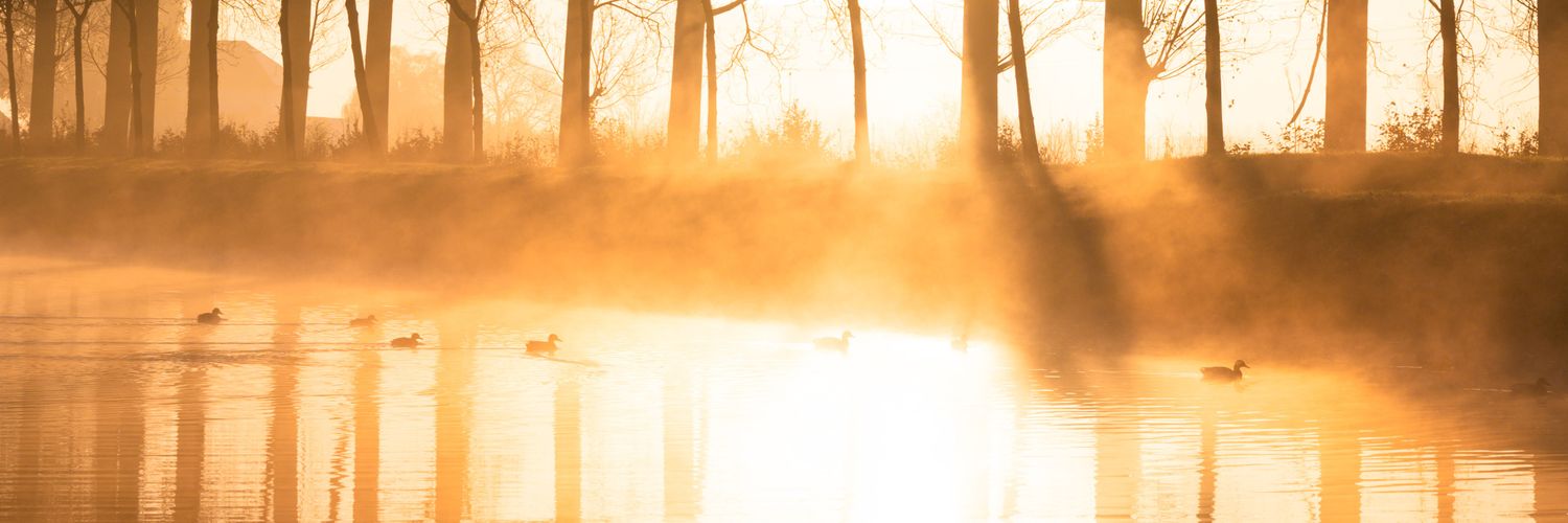 spfrouke's profile banner image