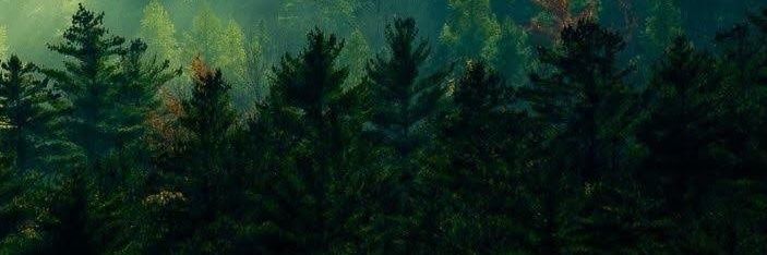 ~Emerson 🎩 banner