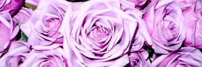 popcxrns's profile banner image