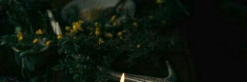 _gnoj_'s profile banner image
