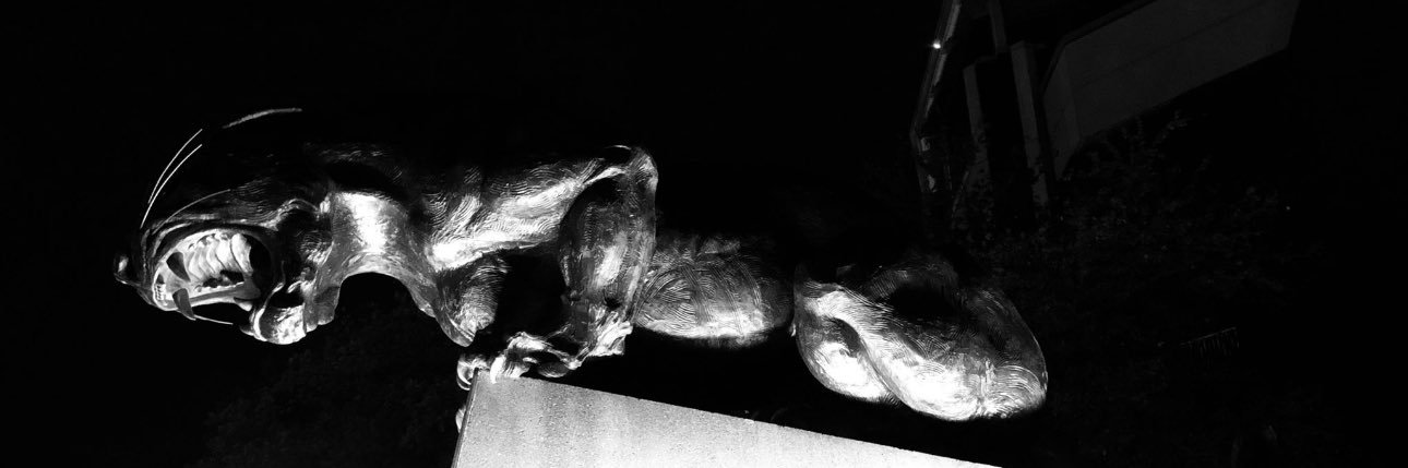 Whoaa_Bro's profile banner image