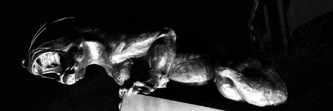 Whoaabro_34's profile banner image