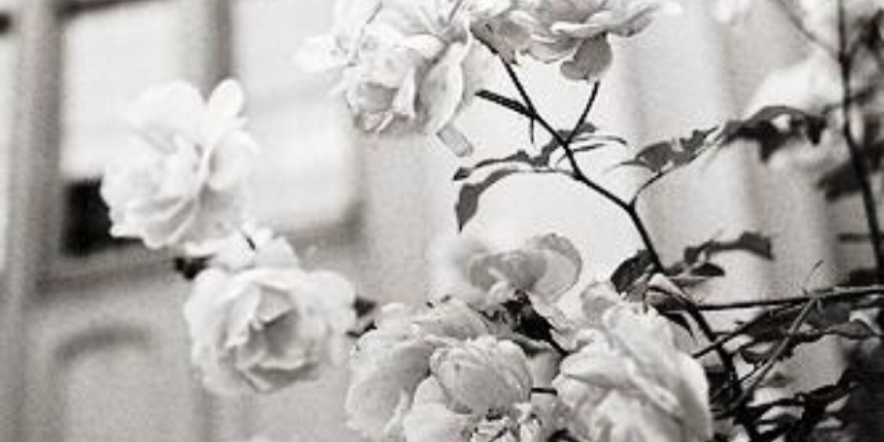 Hanadi223's profile banner image