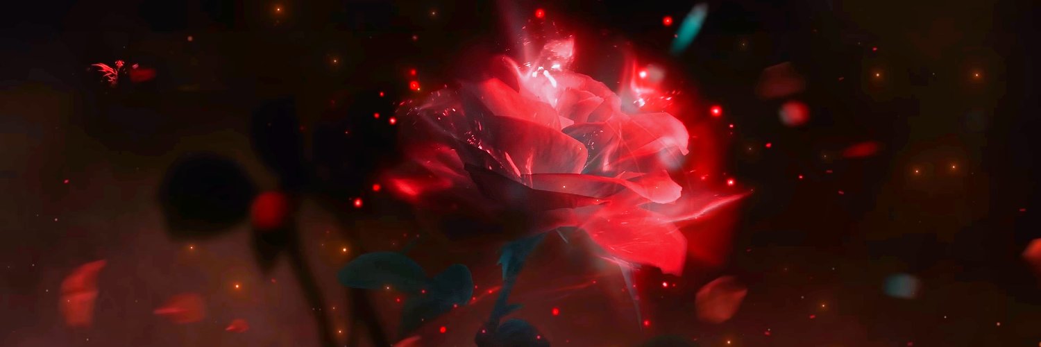 𝔻𝕀𝕆𝕊𝔸 🐶 • 𝕯𝖊𝖆𝖗𝖊𝖘𝖙 𝖜𝖎𝖋𝖊 🐦‍⬛ banner