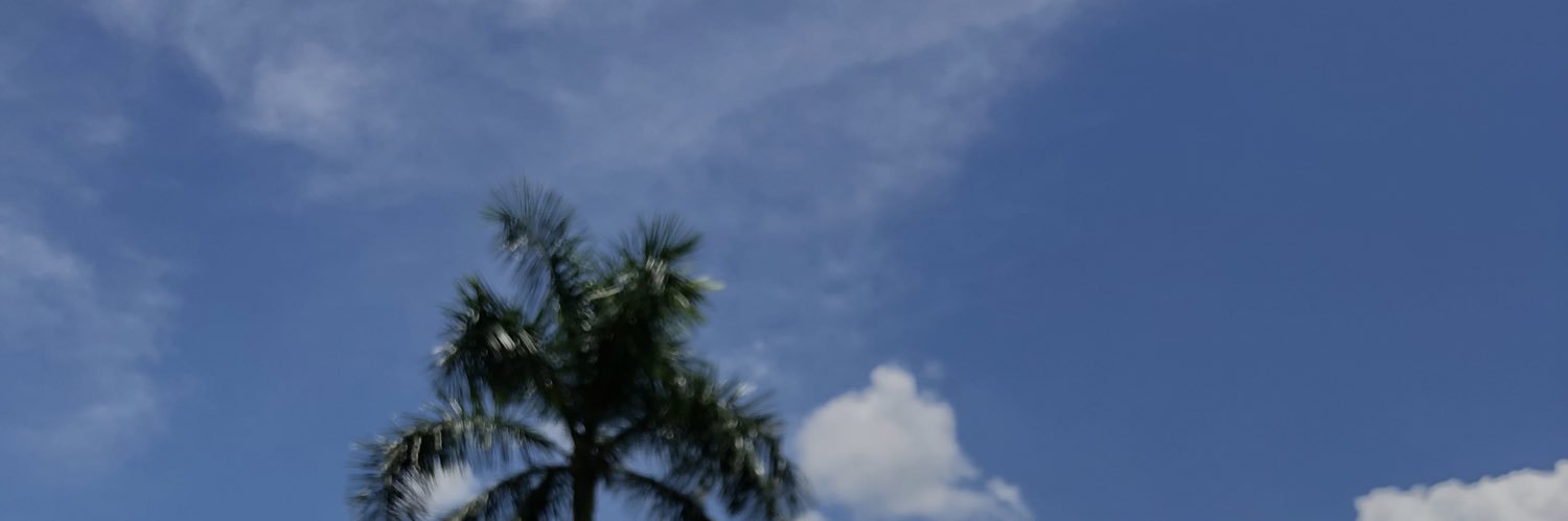 julyaadg's profile banner image