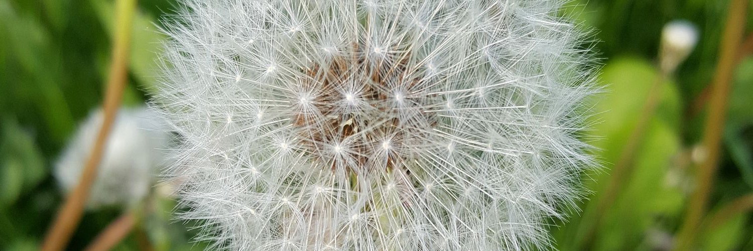 L_3_Bx's profile banner image