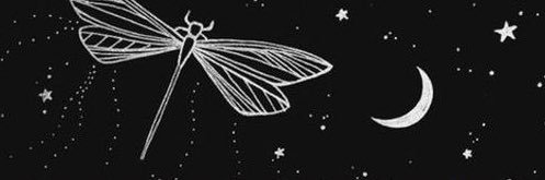 kenyaauribe's profile banner image