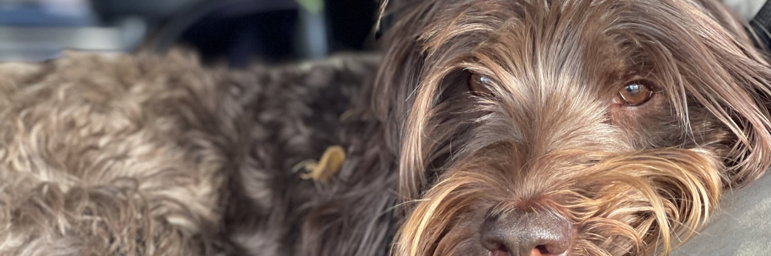 Brossiter's profile banner image