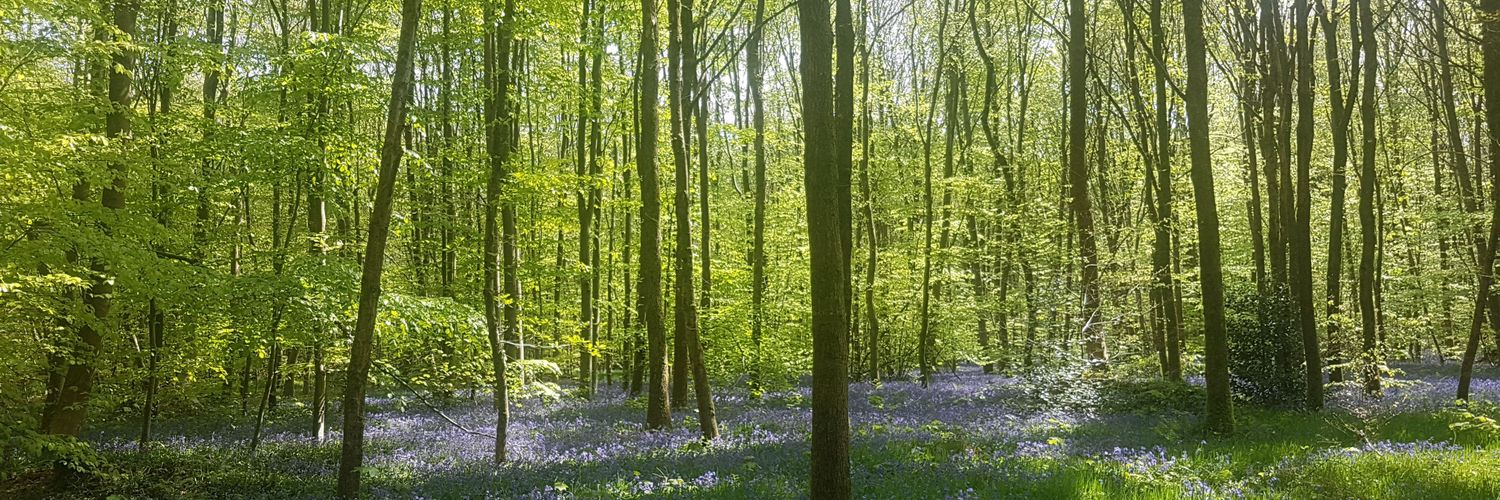 🇫🇷 🇬🇧 banner