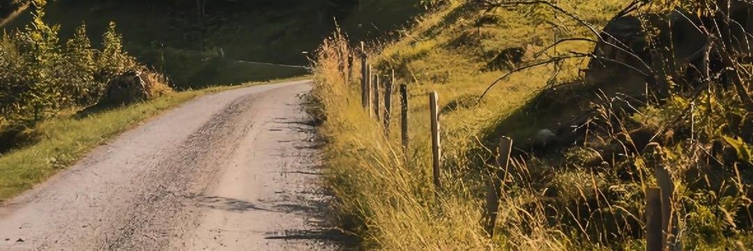 héllène 🧸 banner