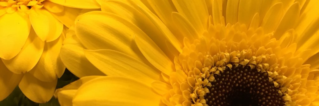 darryl_whites's profile banner image