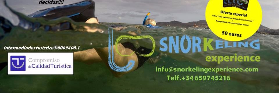 SnorkelingExpe's profile banner image