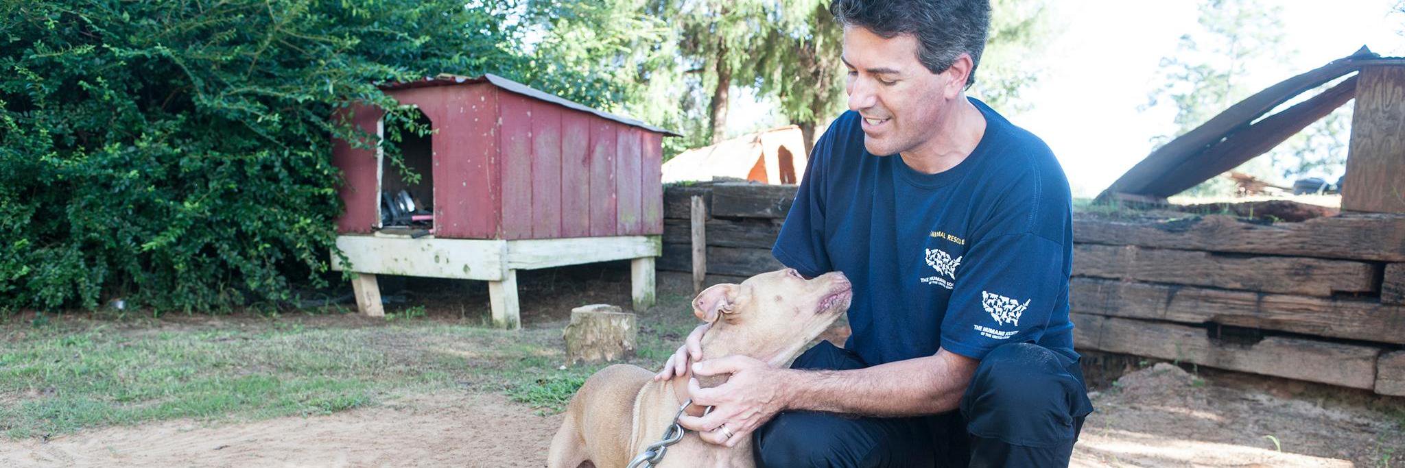 waynepacelle's profile banner image