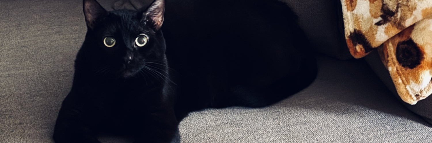 shleeaye's profile banner image