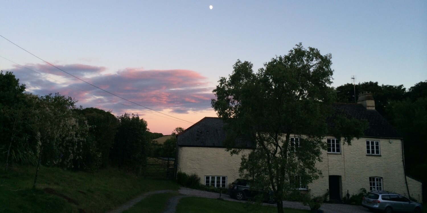 Alice Pickles banner