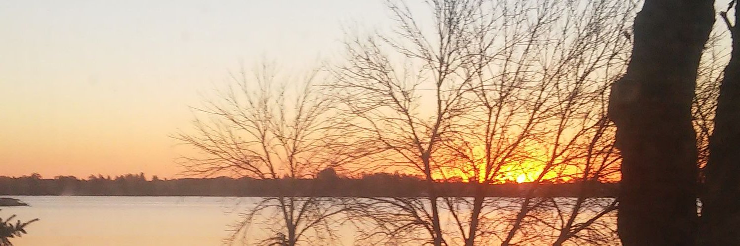 Donna Monilaws banner