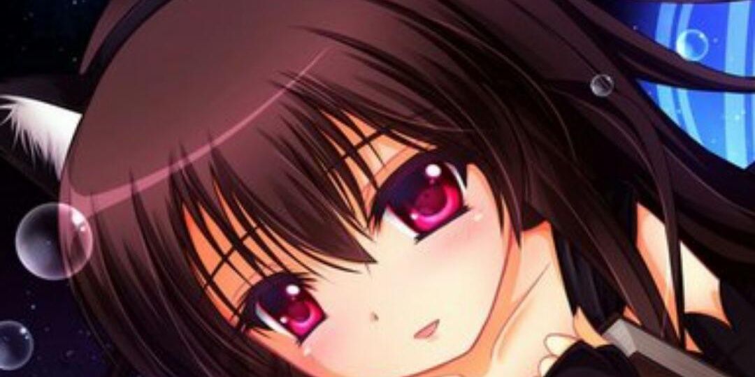 Engelsschwinge's profile banner image
