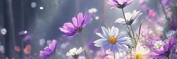 bitterrsuit Profile Banner