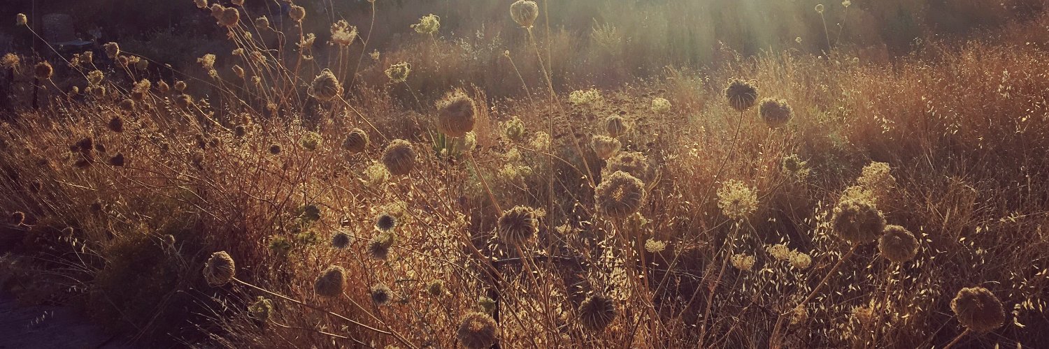 Mette Leonard Høeg banner