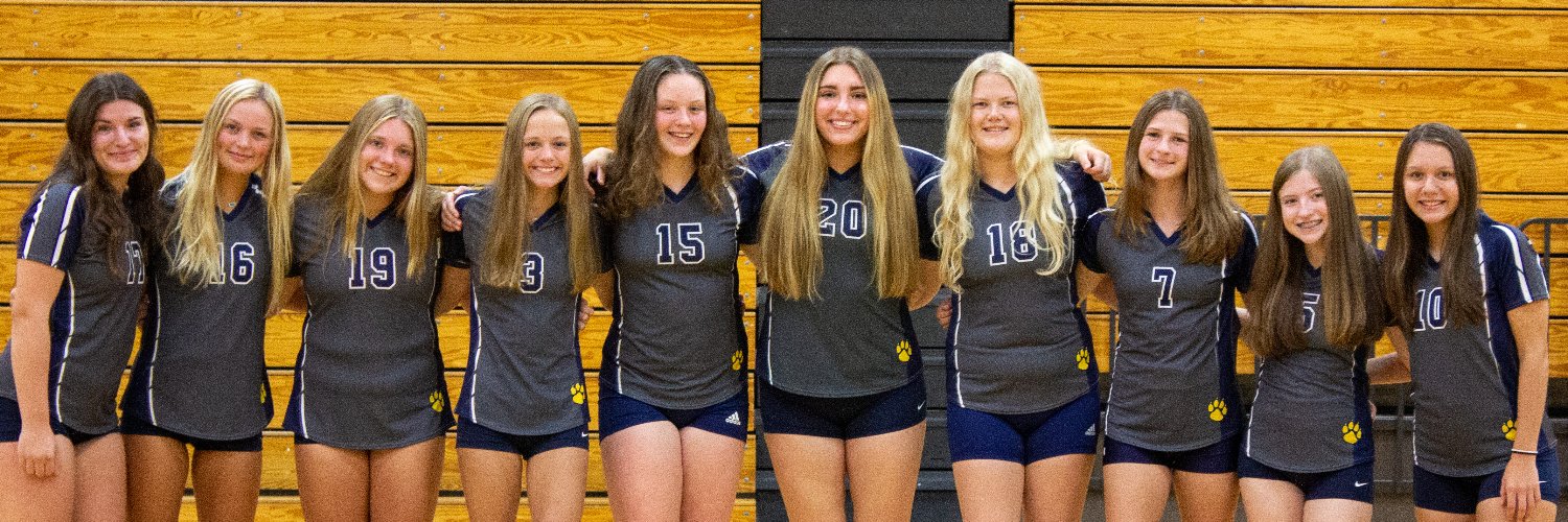 BHSWildcatVball's profile banner image