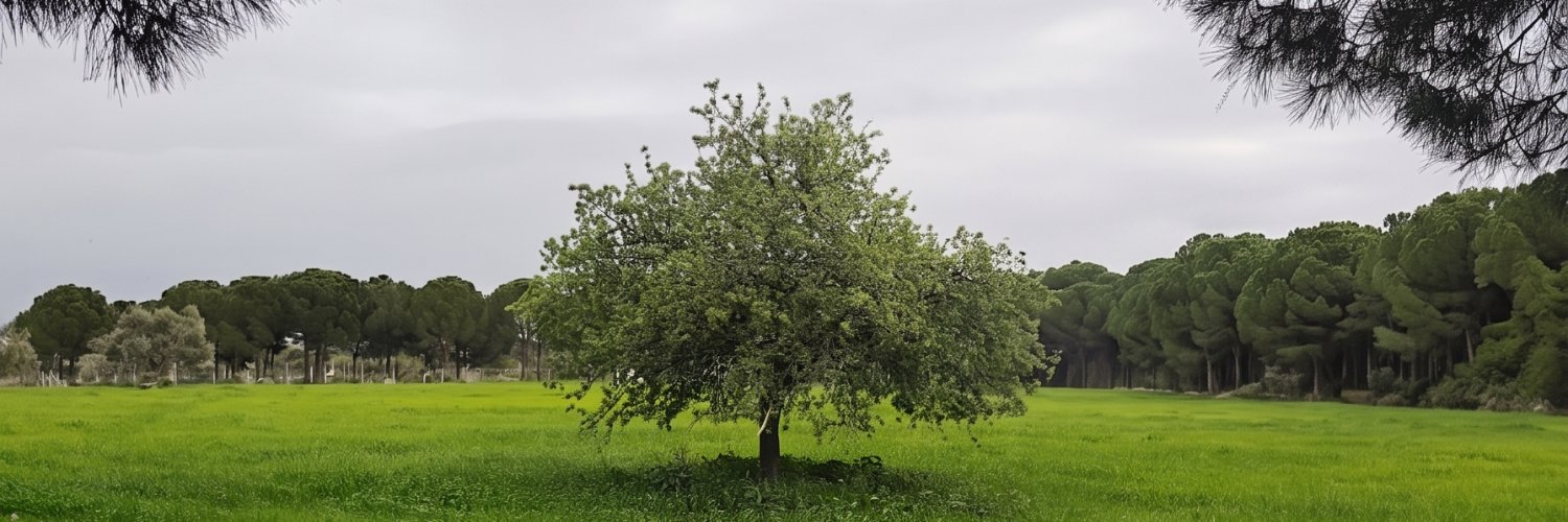bingoldgkn's profile banner image
