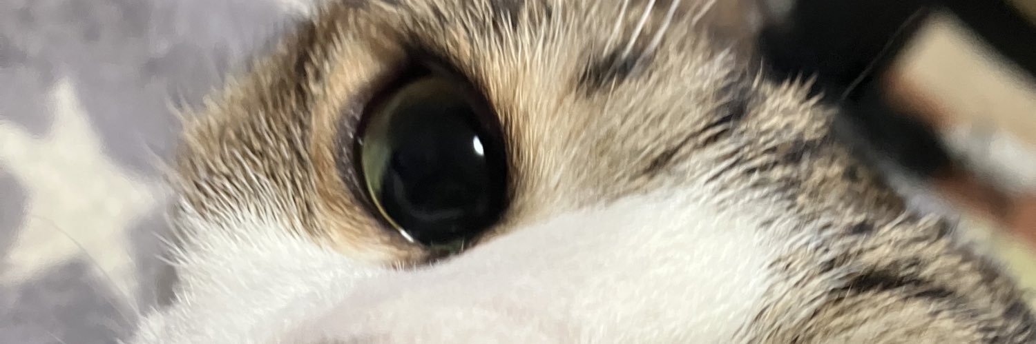 リュウ banner