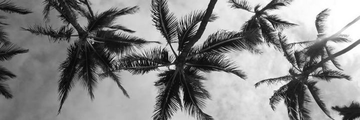 feRriOos's profile banner image