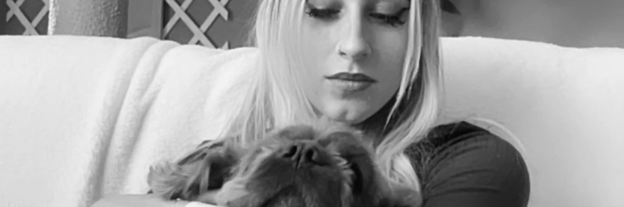 sunxdayy's profile banner image