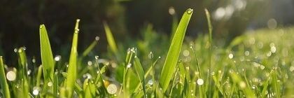 ダイモンジ banner