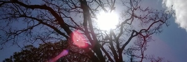 andieguti Profile Banner