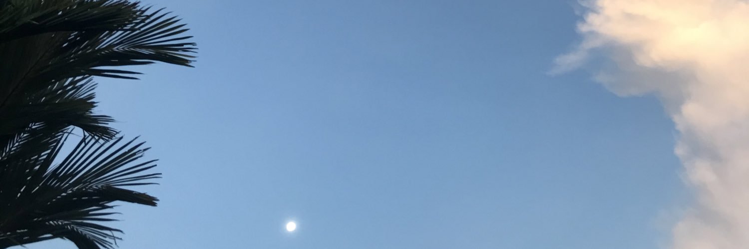 nobelwhitee's profile banner image