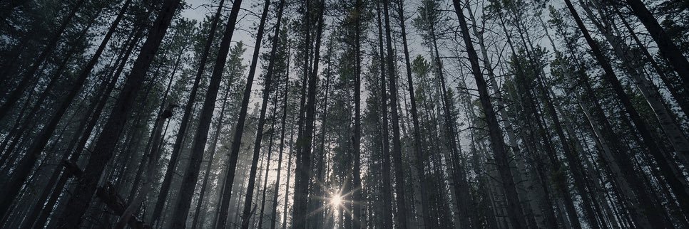 jakeschwarz's profile banner image