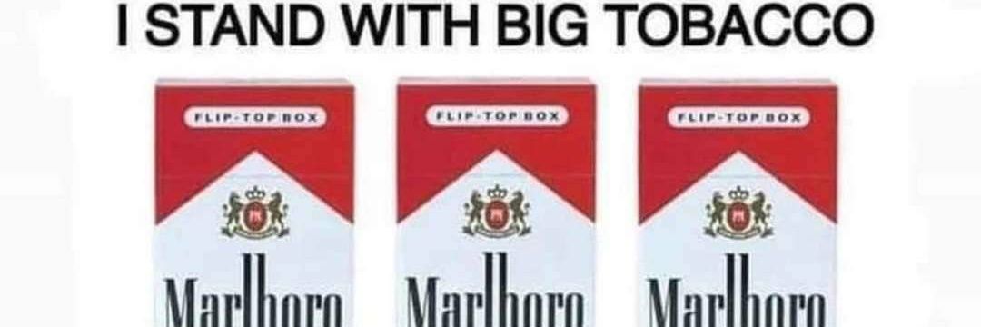 boris froggy plushie banner