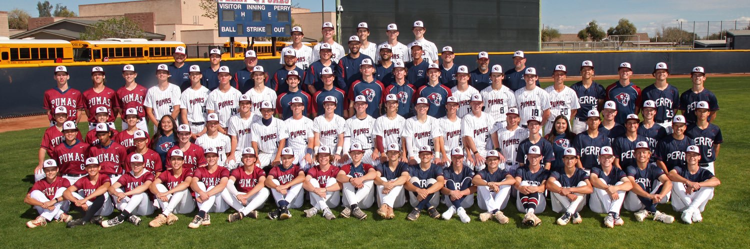 Perry Baseball banner