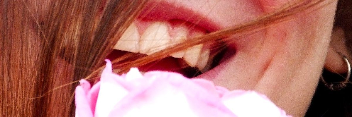 Fátima ~ banner